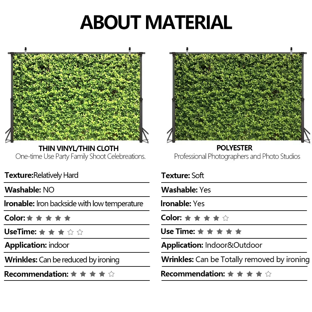 SpongeBob SquarePants - Image 3